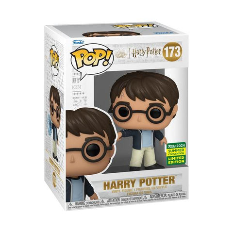 Image of Harry Potter - Harry Potter SD24 Pop Vinyl (RS)